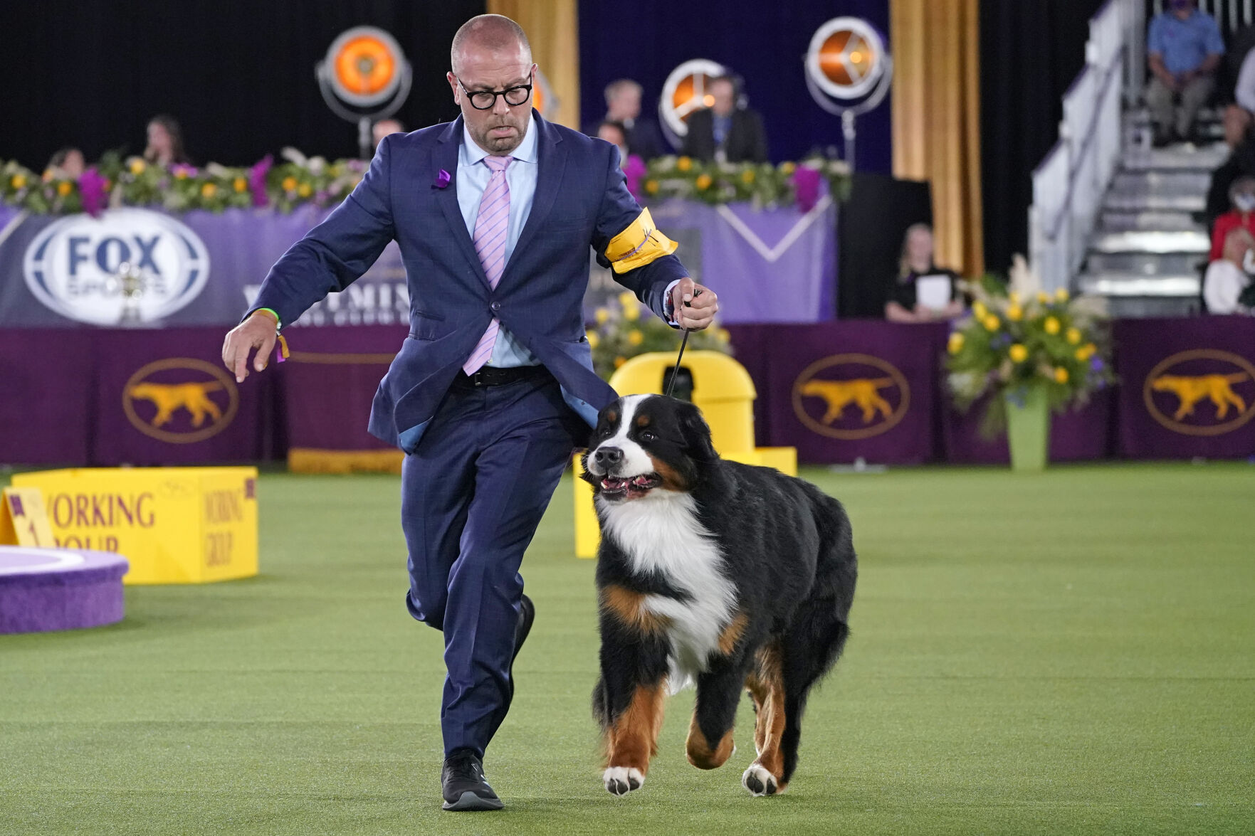 Westminster Dog Show